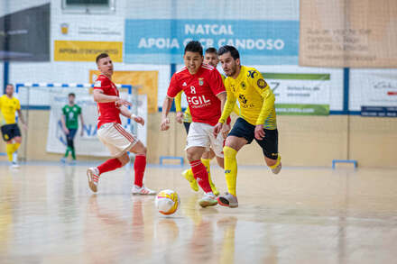 Liga Placard| CR Candoso/Natcal x Benfica (J21)