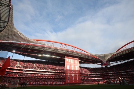 Benfica v Estoril Liga NOS J23 2014/15