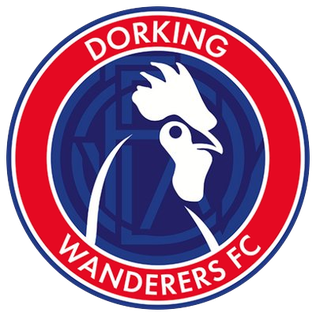 Dorking Wanderers S21