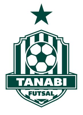 Tanabi Futsal