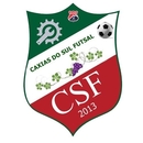 Caxias Do Sul Futsal