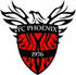 1976 FC Phoenix